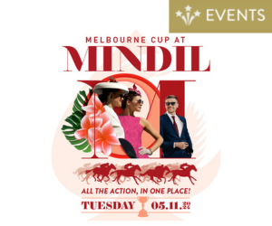 Melbourne Cup at Mindil | Promotions & Events | Mindil Beach Casino Resort